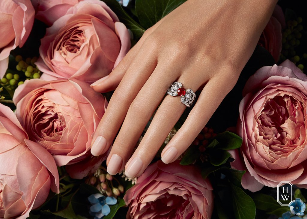 HarryWinston's tweet photo. Enter a #WinstonFall fantasy with ethereal #HarryWinston jewels: https://t.co/PWk7YFUTYz https://t.co/cn6pAOCcqZ