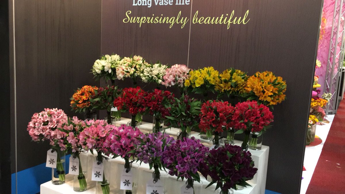 Wij zijn er klaar voor 
Tesselaar Alstroemeria
Standnummer A.6 
 #tradefair #floraholland #tooolbox