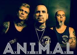 DistopiaRadio's tweet photo. @animaloficial1 es #BandaVL
No te pierdas su participación en el @vivelatino y la #CoberturaTotal por https://t.co/MC4Dur7BAz https://t.co/BrrM0X3wKm