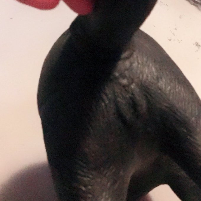 😻😻You can get feline sex dolls at @ShopprsDrugMart! Who knew?? (And on clearance, at that!) 😻😻 #catvagina<a class="tags" target="_blank" title="On Twitter" href="/?out=eyJ0eXAiOiJKV1QiLCJhbGciOiJIUzUxMiJ9.eyJpYXQiOjE3MjQ5MTE3MjUsImlzcyI6InR3cG9ybnN0YXJzLmNvbSIsIm5iZiI6MTcyNDkxMTcyNSwiZXhwIjoxNzU2NDQ3NzI1LCJyZWRpcmVjdF91cmwiOiJodHRwczovL3R3aXR0ZXIuY29tL1Nob3BwcnNEcnVnTWFydCJ9.YvoU7Zh7tmrnxxD9xIhc9ZLJhqT1r1dAWiFaFdwVuhlwxjEOcn6qWEMb18iQDQGQSHuF36gAXruoWOzrOotmrw">@ShopprsDrugMart</a><a href="/tag/wtf"class="tags"><span>#wtf</span></a><a href="/tag/pussypussy"class="tags"><span>#pussypussy</span></a><a href="/tag/catvagina"class="tags"><span>#catvagina</span></a><a href="/tag/sexdoll4jamescat"class="tags"><span>#sexdoll4jamescat</span></a>