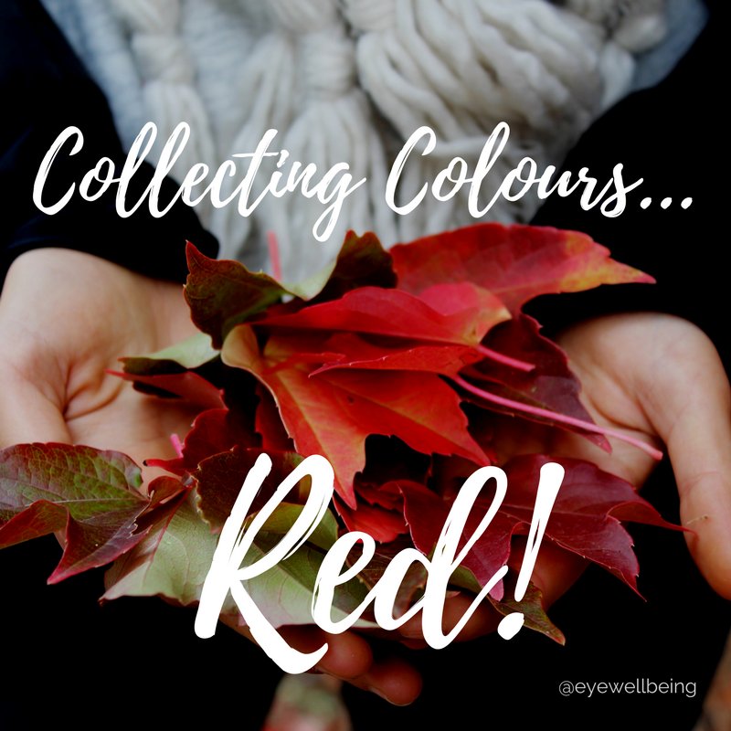 eyewellbeing's tweet photo. My colour of the day: RED 🍁 Learn how to collect colours with your eyes: https://t.co/iWMVNbE9Yi #collectingcolours #eyetreats #eyewellbeing https://t.co/IBzbIq5NsV