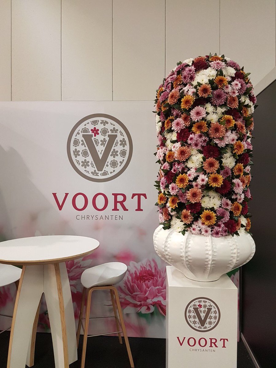 Arjan vd Voort tweet media