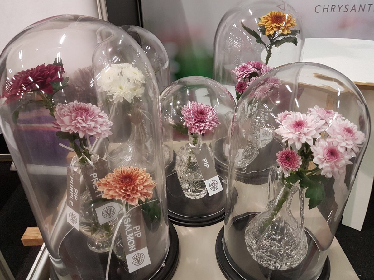 Arjan vd Voort tweet media