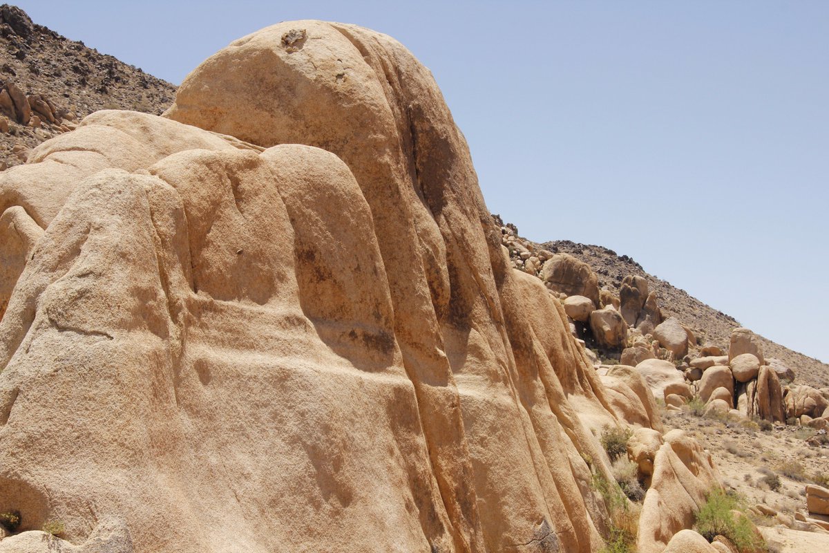 JoshuaTreeNPS's tweet photo. Have you noticed ridges running along the face of some boulders? These notches mark the height of ancient soil levels. #GeologyLesson 1/3 https://t.co/N9D1s9yPdZ