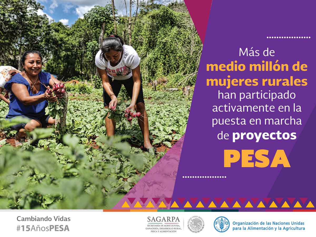 Mely_Romero's tweet photo. En los #15AñosPesa las mujeres han aportado compromiso y esfuerzo para transformar la vida de sus familias!! https://t.co/PtNM2KcNni