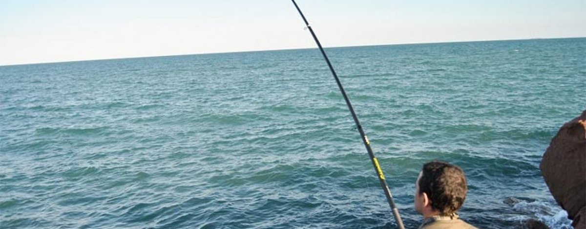 StrikePro2's tweet photo. Pezcador al día, principales noticias de pesca (noviembre 2017, 1) https://t.co/xcwKdnyvVk #noticiasdepesca #pescadeportiva #pesca https://t.co/42NmnLk1ry