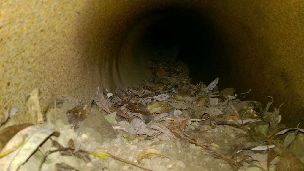 CE_Pea's tweet photo. Found a badger sett in a pipe in Harlow today, thankfully not near the development #PAASvy https://t.co/5mSqBa2MtF