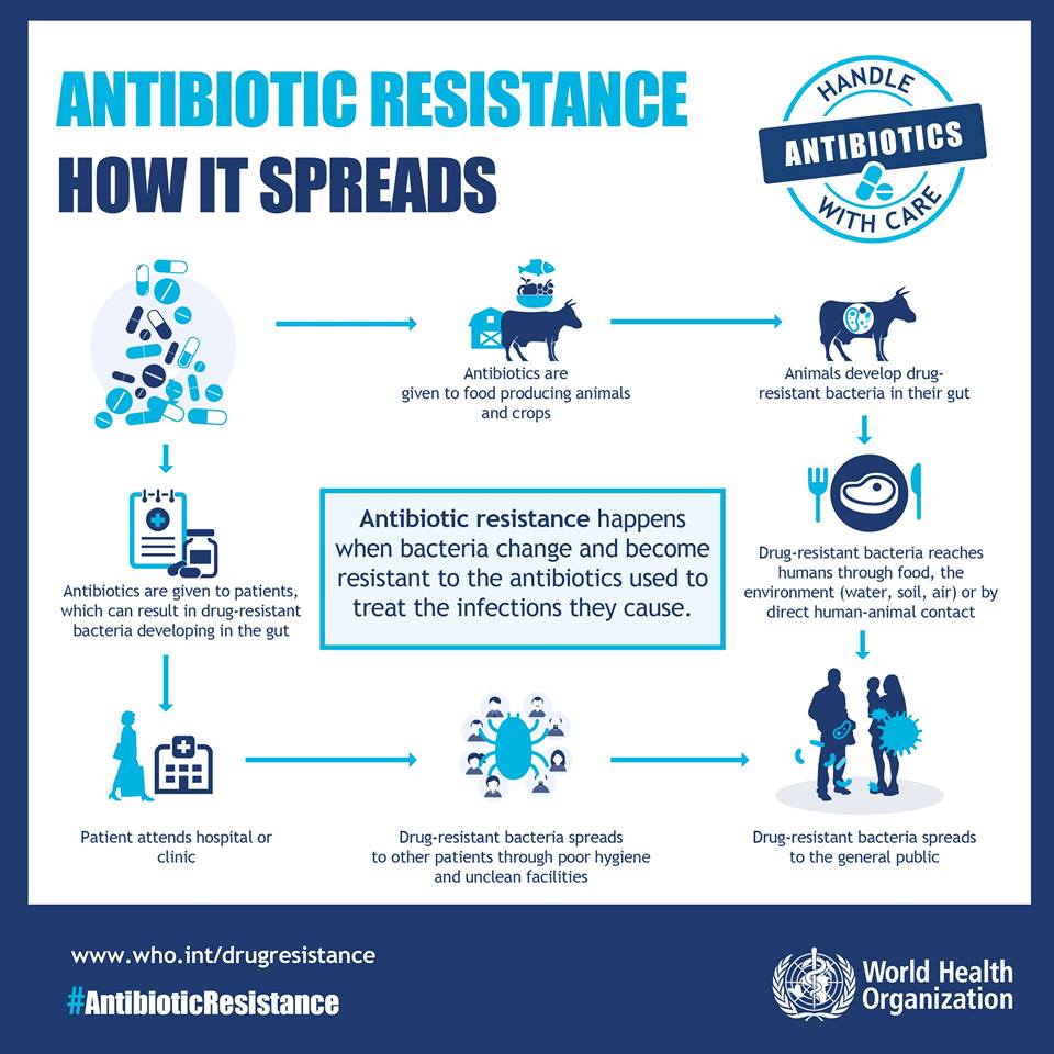 bund_net's tweet photo. So trägt #Tierhaltung zu Verbreitung von #Antibiotika-#Resistenzen bei, zeigt @WHO in dieser Grafik. #MRSA #Keime #KlasseStattMasse https://t.co/gmDhSfqeSz