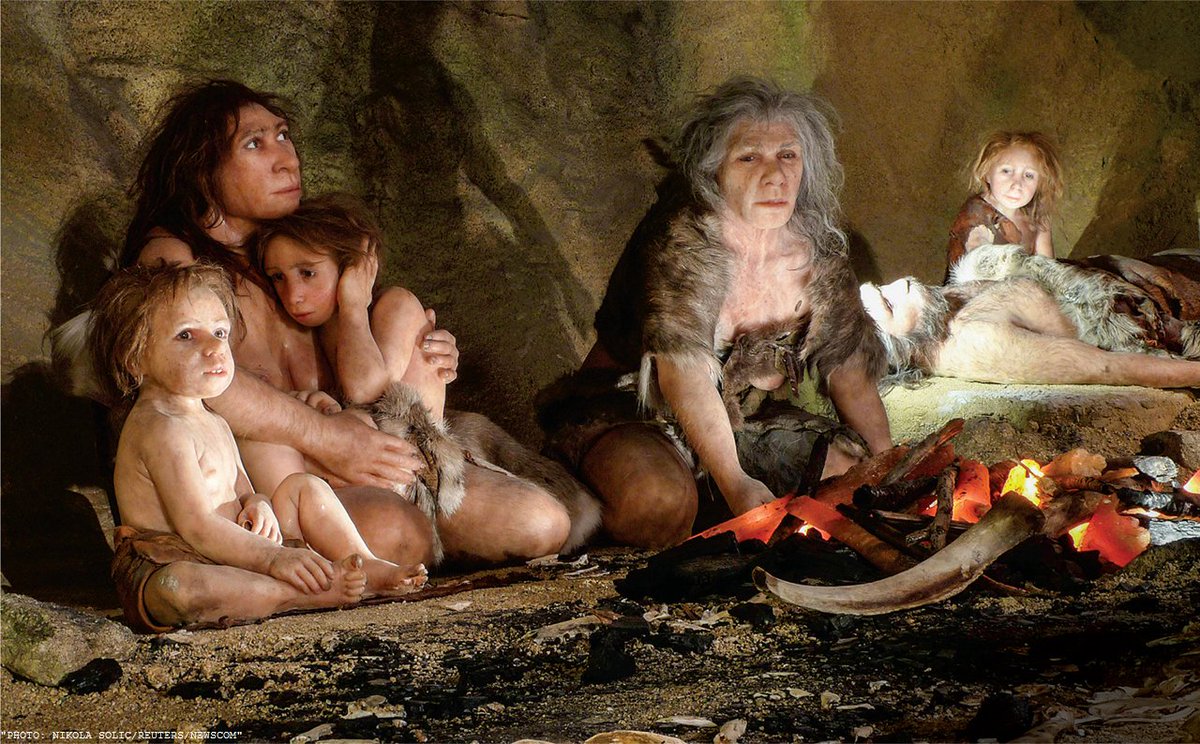 ScienceMagazine's tweet photo. Ancient genomes are casting light on Paleolithic social networks: ($) https://t.co/LNLsz033jM https://t.co/8wc7UdTFnm