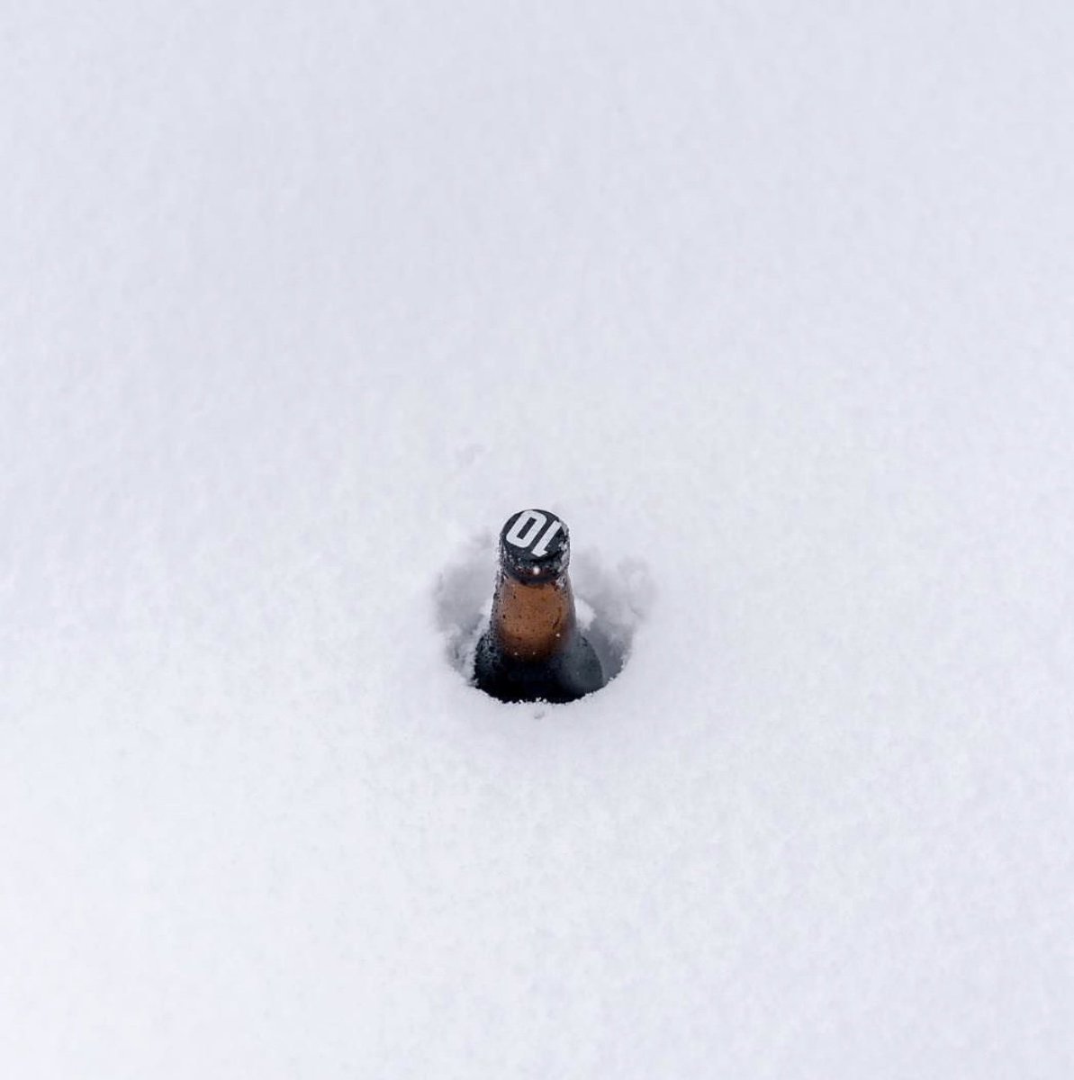 NoCoOnTheTown's tweet photo. It's a snowy Tuesday. Time to get ready for these beautiful Colorado winter months. #winter #nocoonthetown @10barrelbrewing https://t.co/KSsrsnf87M