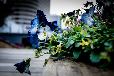 kellymichelle86's tweet photo. Photo By Freddie Collins | Unsplash 
 #beautyblogger #beautyblog #beautyful #beautycare #beautyaddict https://t.co/q8TxVEmrqs