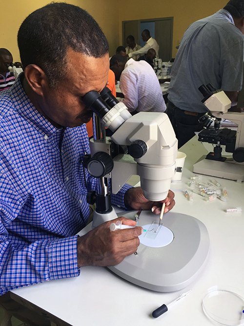 AbtGlobalImpact's tweet photo. See our latest work in #insecticide resistance &amp; #malaria control at our #TropMed17 poster presentations today: https://t.co/F5aT60tLCO https://t.co/cnSfWmZsho