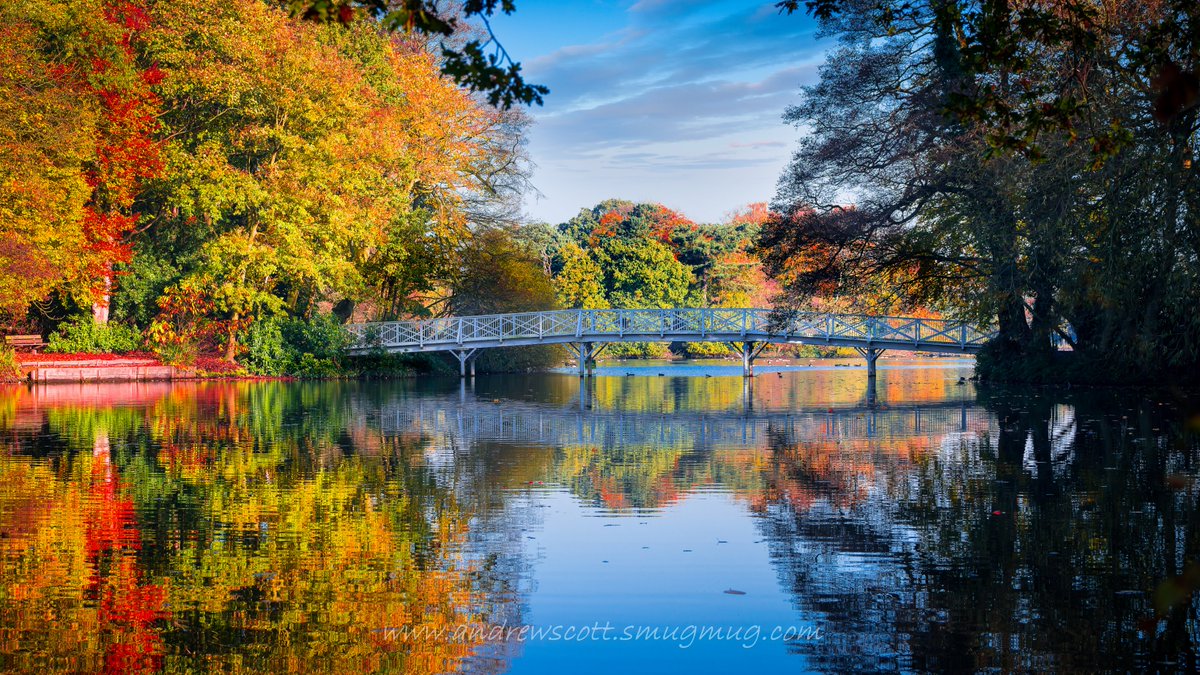 lincolninphoto's tweet photo. The White Bridge #Hartsholme #countrypark #thephotohour #500pxrtg #lovelincoln #Lincoln #lincolnshire https://t.co/k8XG3IuKxr