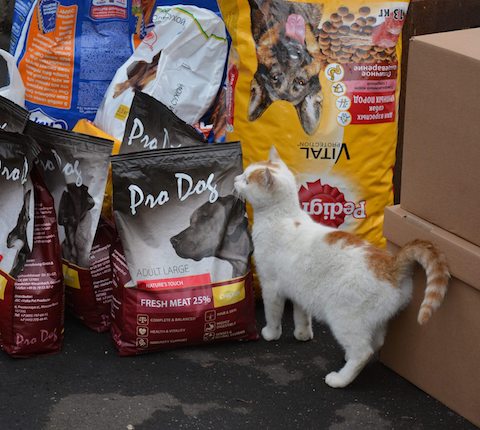 В День народного единства был спасён Пожарский ghope.ru/news/v-den-nar…