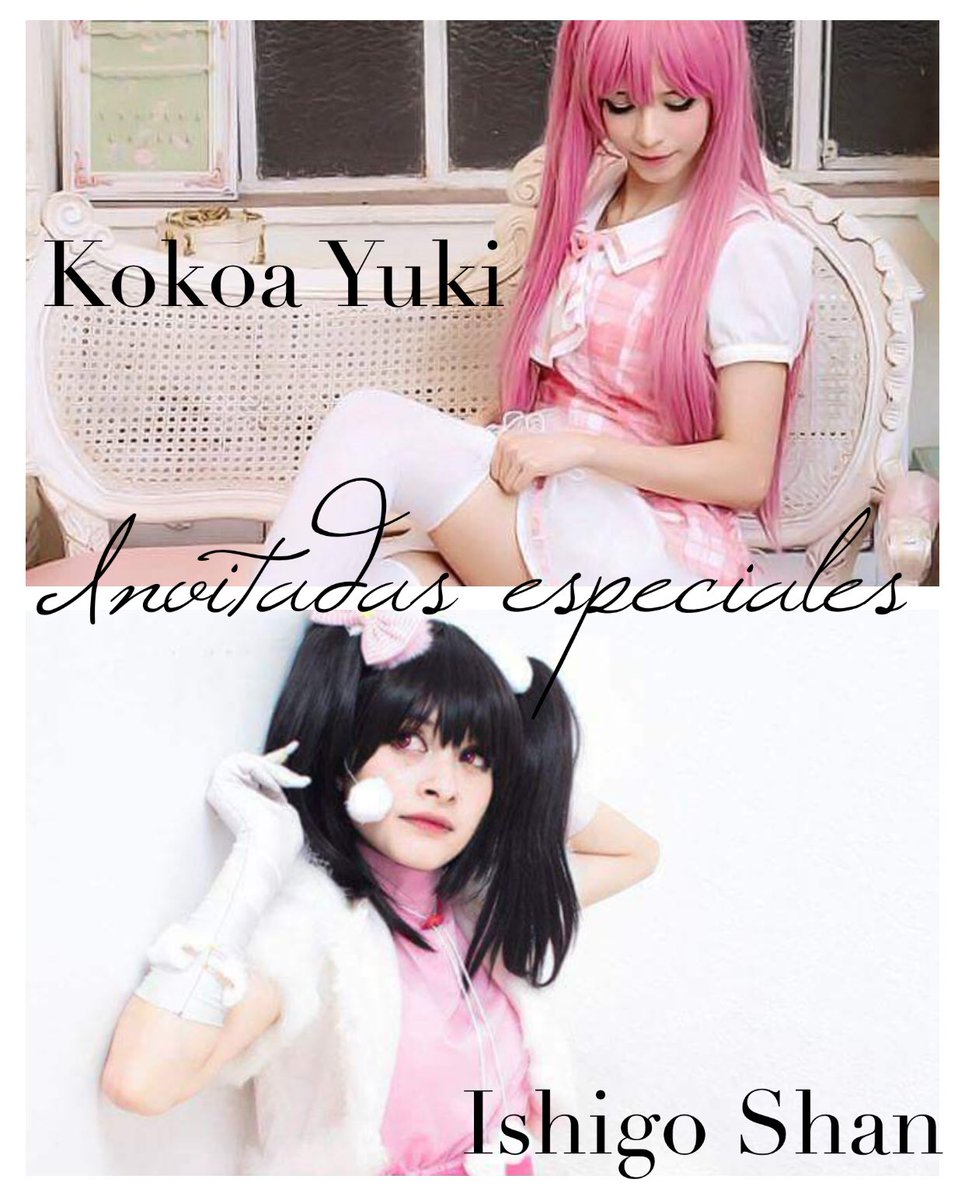 Casa Constanza tweet media