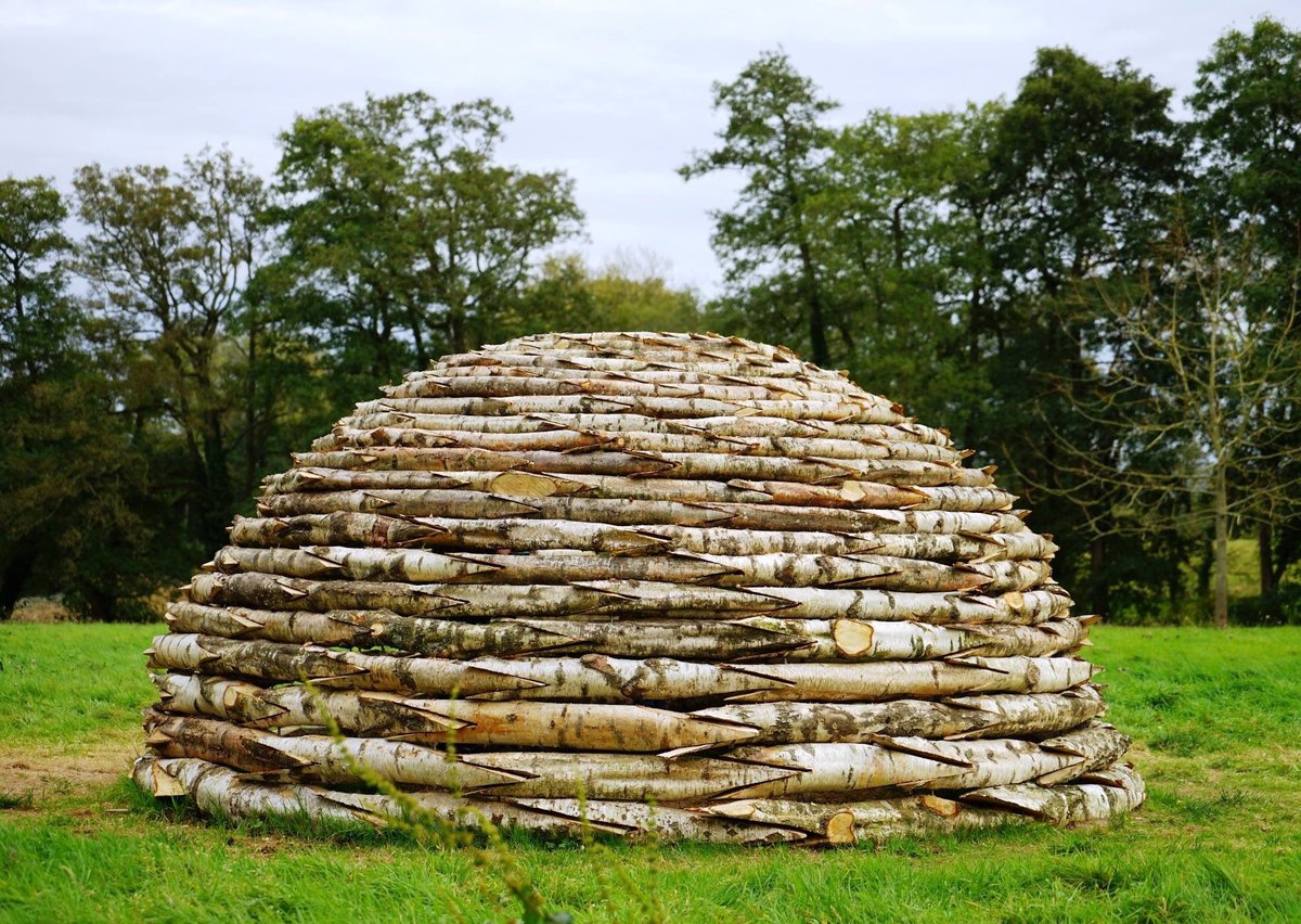 outofnatureshow's tweet photo. Life after @outofnatureshow for 'Birch' Dome by Richard Harris, see a range of short films here:  https://t.co/5OO3hMt7BB https://t.co/RbiDijDrca