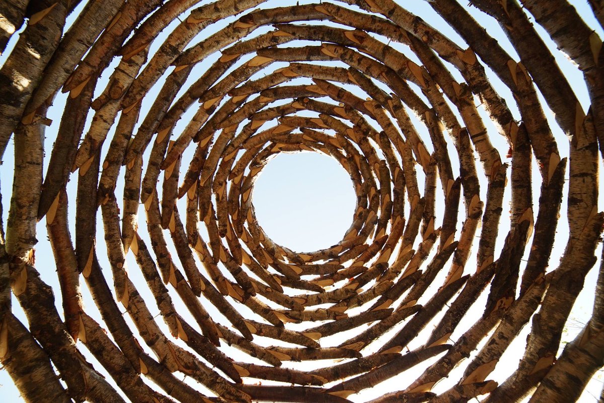 outofnatureshow's tweet photo. Life after @outofnatureshow for 'Birch' Dome by Richard Harris, see a range of short films here:  https://t.co/5OO3hMt7BB https://t.co/RbiDijDrca
