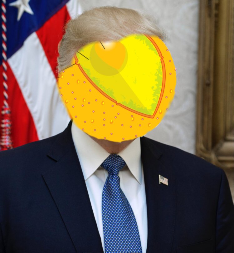 Nucleus4Chief1's tweet photo. As your Organelle in Chief I will have HUUUUUGGGGGGGEEEEEEE plans for Eukarya!! #APBEG17 https://t.co/lO7HV2VWdU
