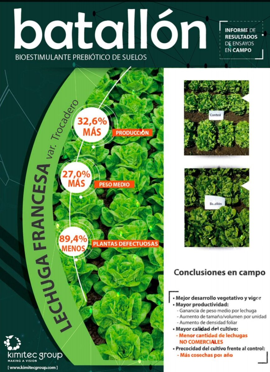 pedrocalvorolda's tweet photo. Resultados de batallón en #lechuga. Mayor #producción, mayor peso medio, menor número de  plantas defectuosas. https://t.co/1HGqFnJt6Q
