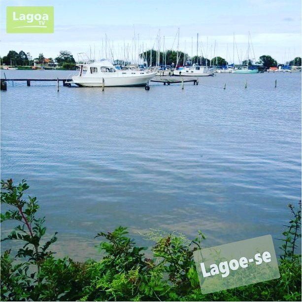 LagoadosPatosFM's tweet photo. Local: Clube Náutico Tapense
Imageme edição: Equipe Lagoa TV
#Lagoe-se #abeiradessalagoasevive
#VempraTapes #istoéviveremtapes https://t.co/vRJbfLDuvg