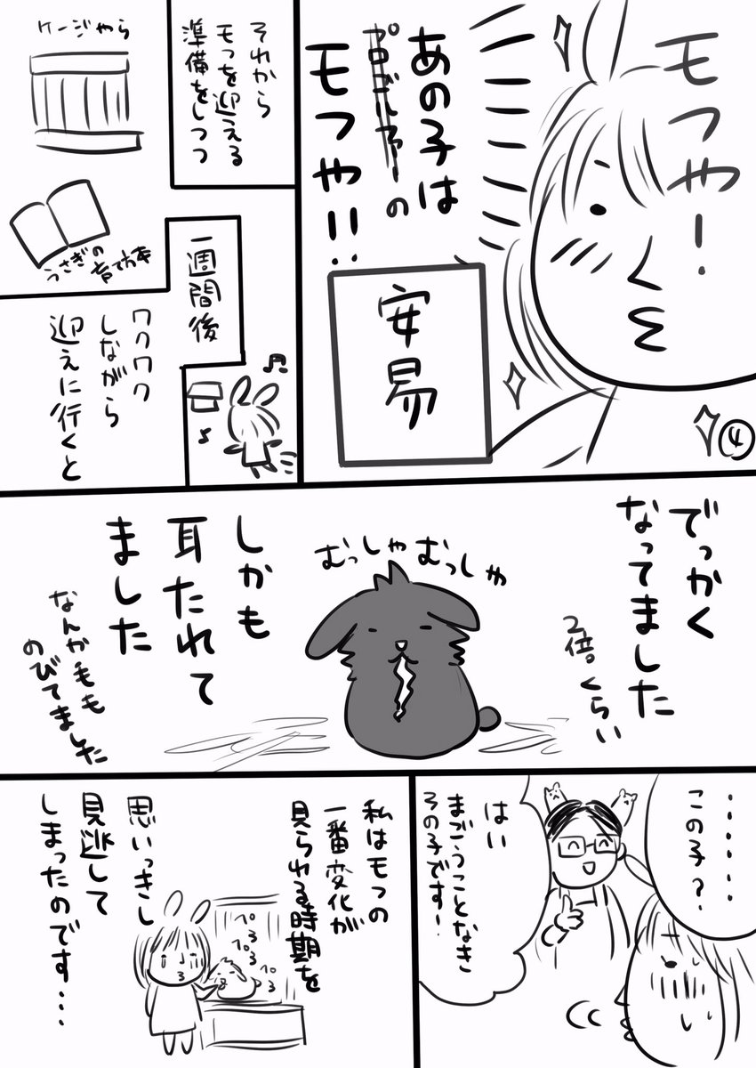 モフとの出会いを描いたら5ページになってしまったので最後のページはコメントの方へ。読みにくくてゴメンなさい>_< 