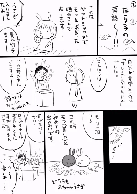 モフとの出会いを描いたら5ページになってしまったので最後のページはコメントの方へ。読みにくくてゴメンなさい>_< 