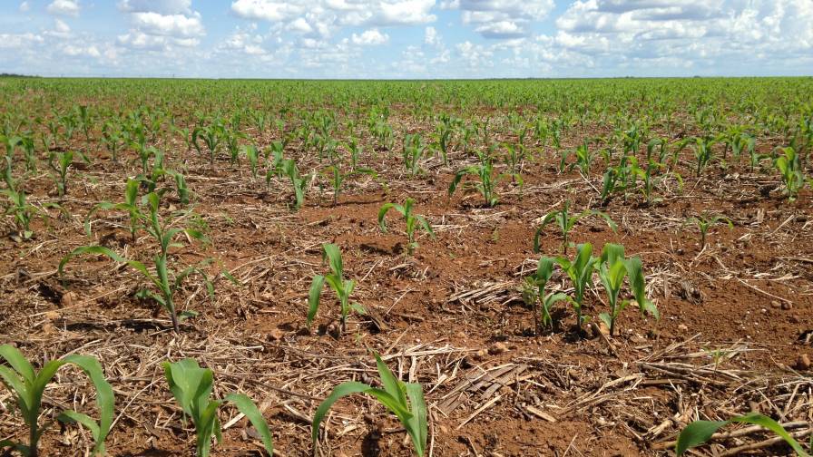 GlobalAgTech's tweet photo. Farmobile Announces Crop Insurance Strategic Partnership https://t.co/APLMjZVBeh https://t.co/saq7XH8Uux