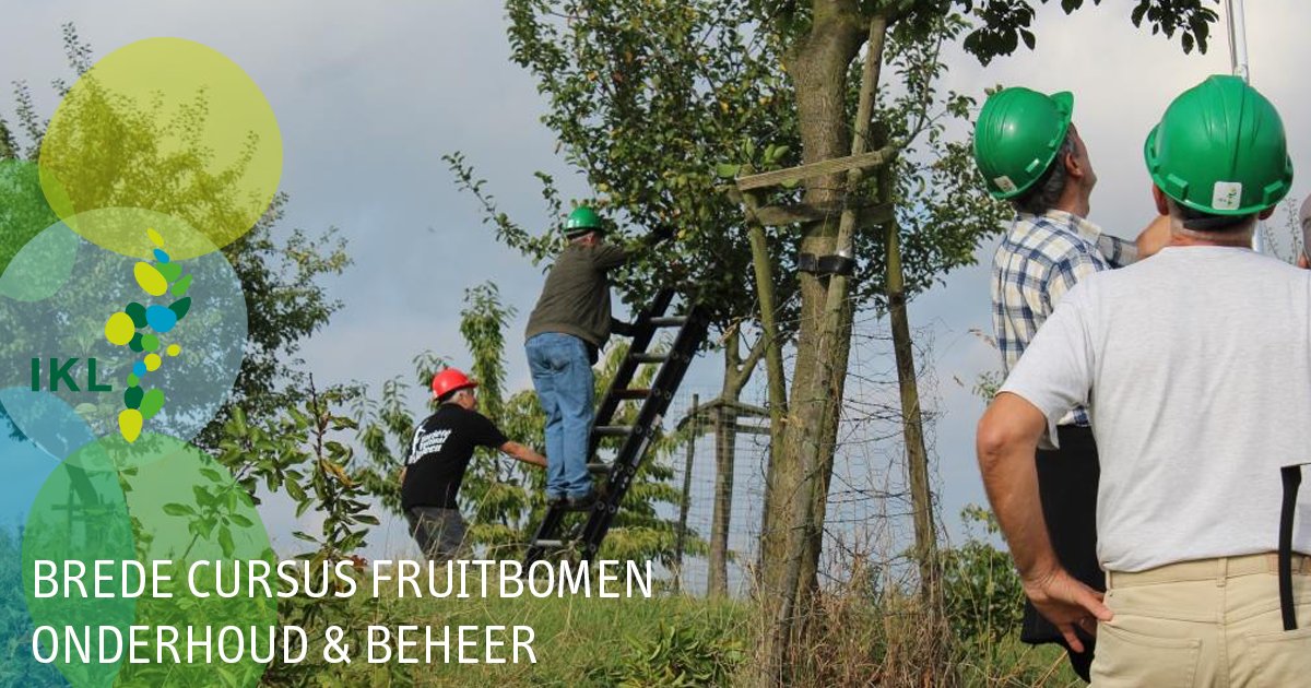 StichtingIKL's tweet photo. IKL organiseert in @gemeenteleudal &amp; @gemeenteEM een brede cursus over het onderhoud en beheer van fruitbomen! https://t.co/RW6ny3Dkrp https://t.co/8zD18rU1ti
