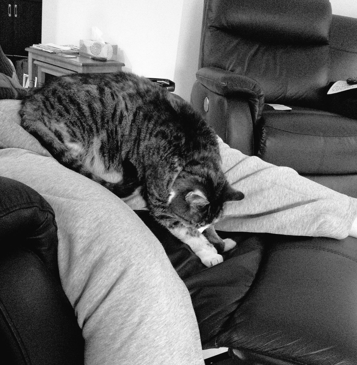 lmat13's tweet photo. 14 years old and still adorable <3 https://t.co/pj2ZGzr8ha