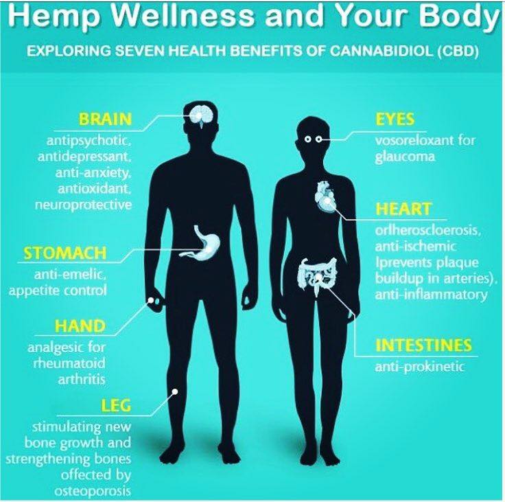 HempHelps's tweet photo. #CBD is medicine! https://t.co/wBrDRYkCsr