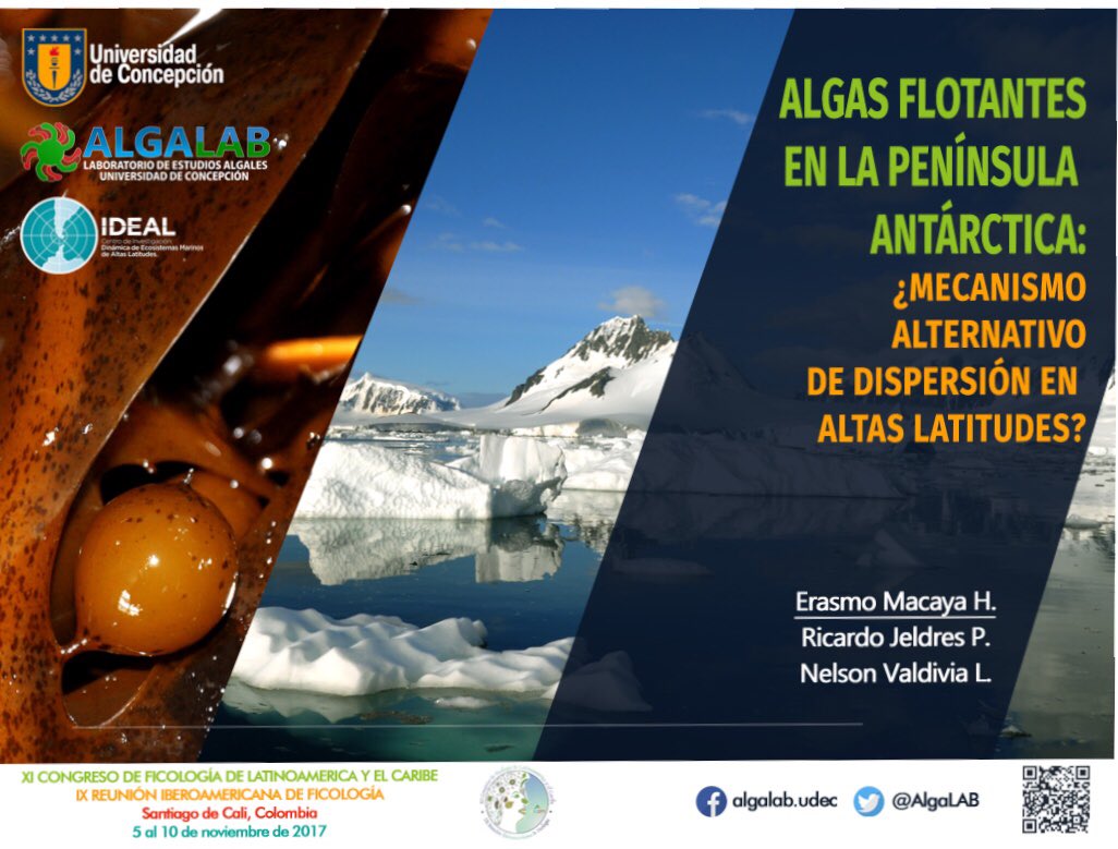 erasmomac's tweet photo. Hoy 5,30pm hablaré sobre #algas flotantes en #Antartica en @sofilac2017, #Cali #Colombia 😃 ⛄️❄️🌱 #CentroIdeal #DíaAntártica #Rafting #ECA53 https://t.co/Ob5CPBHelW