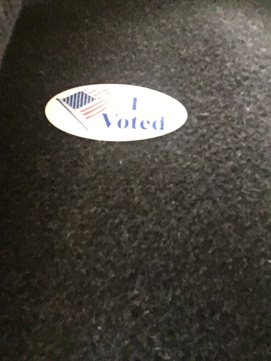 danberwick's tweet photo. As long as we're voting we're doing ok. Go vote. Especially if you live in Virginia. But also everywhere. https://t.co/ysbOUIgxRw