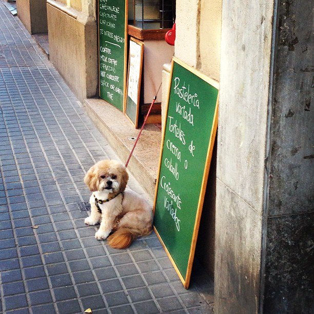 Guardia Civil tweet media