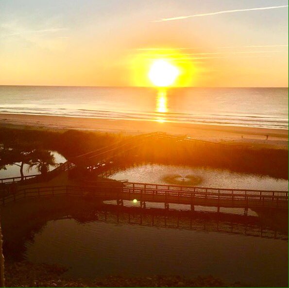 chrisvelamb's tweet photo. 70 and sunny in Myrtle Beach! Not bad for November ... #MyrtleBeach https://t.co/qZylafYzBc