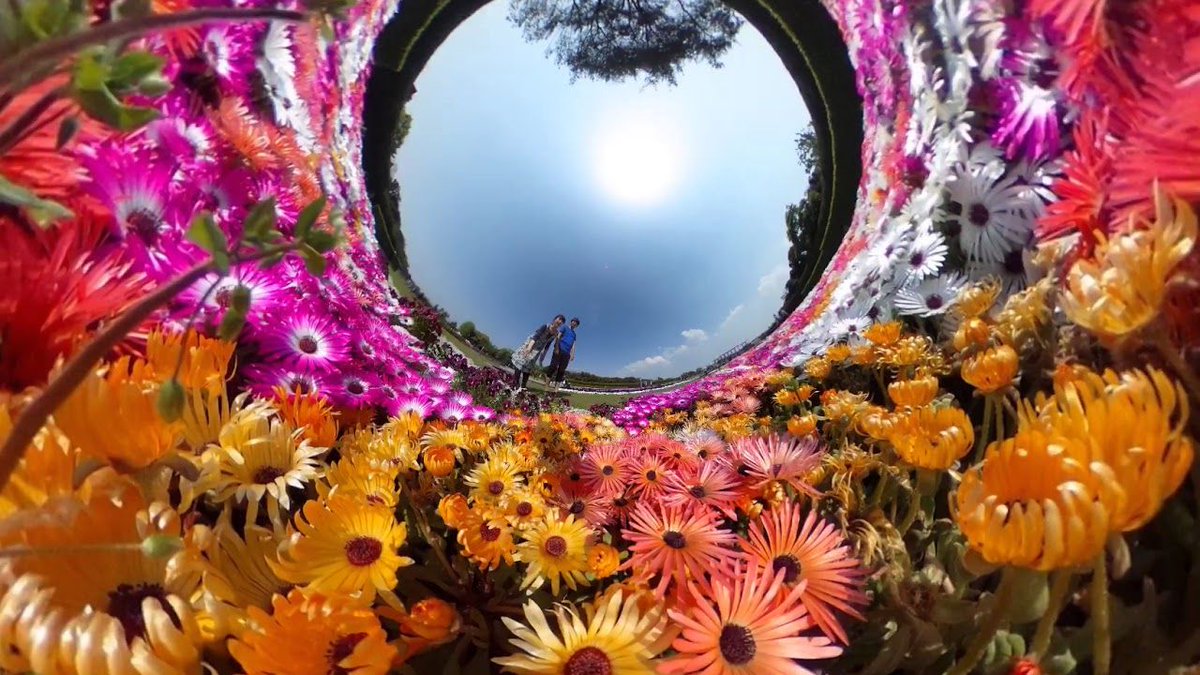 RicohThetaUK's tweet photo. If you've been under a rock🗿 or just haven't heard the great news😀, you can update the THETA+ application to create your own #360animations https://t.co/wmIlzDda49