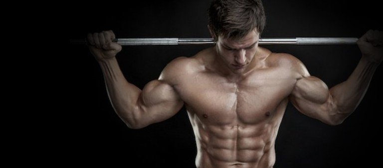 TrainingTipsRu's tweet image. Лучшие упражнения для каждой группы мышц ttips.ru/luchshie-upraz…