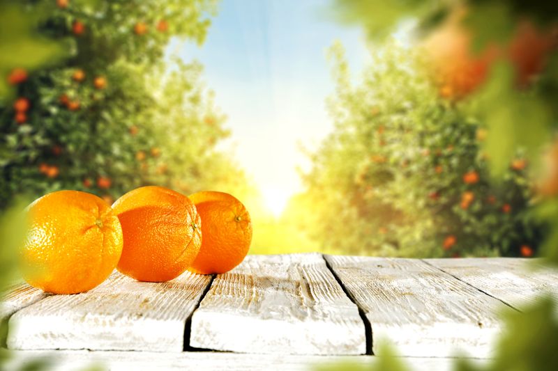 jjimenez's tweet photo. Vikinguard, la media naranja para la tienda de cítricos “Citrus Ricus” https://t.co/Qx92LP5ZnS https://t.co/JcMVjxA5Ko