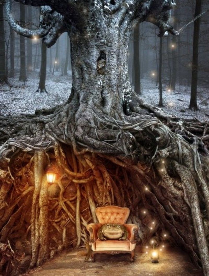 noveliciouss's tweet photo. Most of us find our own #voices only after we've sounded like a lot of other people.
~N GAIMAN
#writing
#Art L Wells https://t.co/xvKpzM0j8d