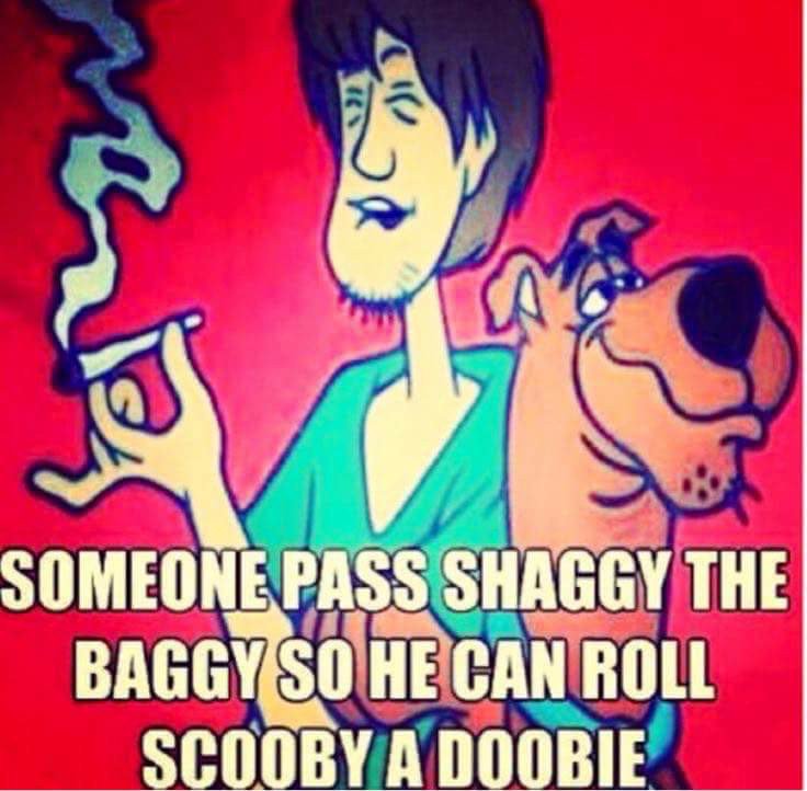 WeederMedia's tweet photo. -  :)  #takemetoyourweeder https://t.co/HIzQTZIqBC