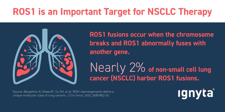 Ignyta's tweet photo. #DYK ROS1 gene fusions can be associated with #NSCLC &amp; #LungCancer growth, even in young never-smokers? #WednesdayWisdom #LCAM https://t.co/IzE57ZVJTB