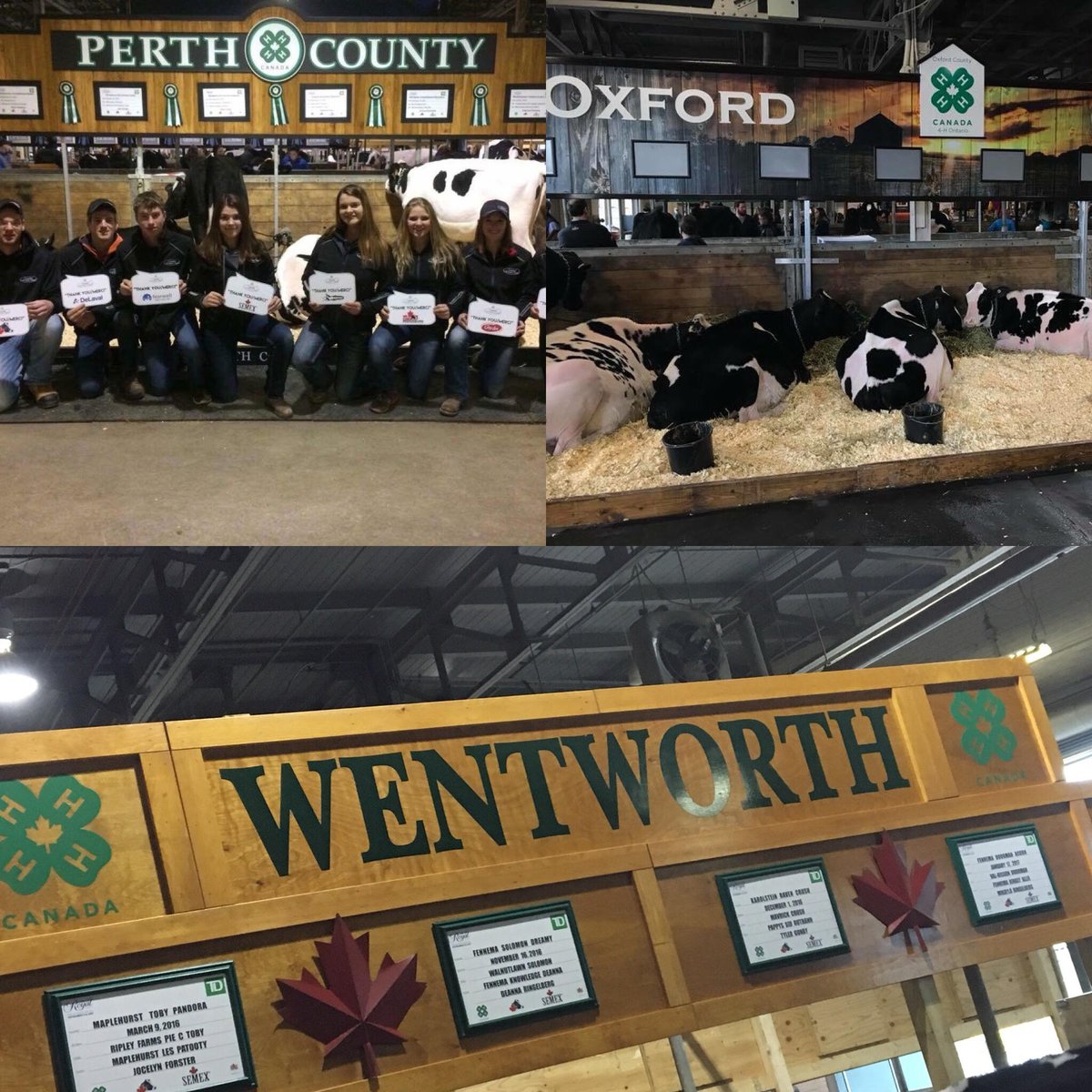 Yantzis's tweet photo. We would like to wish all those participating in the TD Canadian 4H Dairy Classic best of luck! #teamdairy #Yantzis #4HDairy @TD4HClassic https://t.co/HJFXPs0kmk