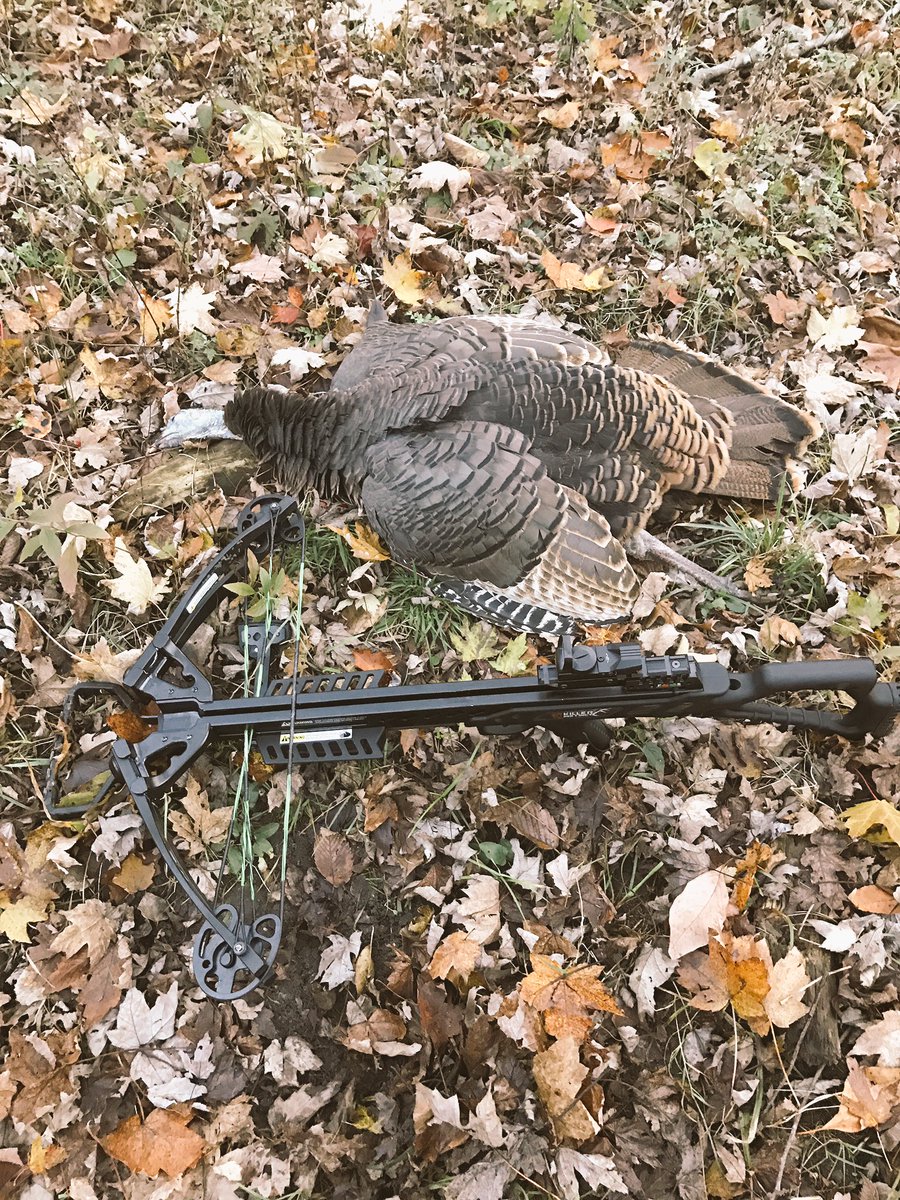 Herber111's tweet photo. #RoyHunter strikes again! Went out deer hunting and ended up taking home a bird with one week left of Turkey Season. https://t.co/zEUgYxQHJG