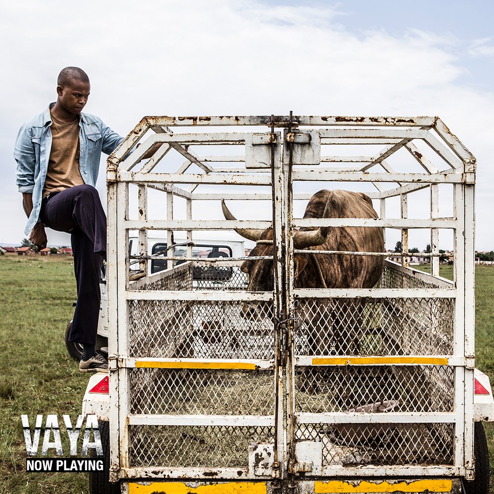 FreshFlieks's tweet photo. You don’t even know how to slaughter a cow.  Cheese boys, City boys. You’re not men. #vayathemovie - now playing. https://t.co/nCCK95t1Xz