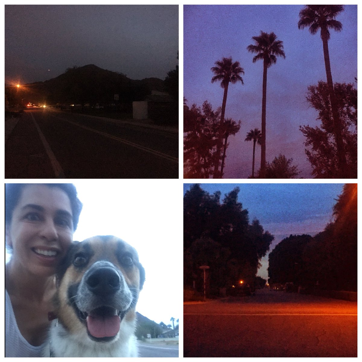 DrMarthaGulati's tweet image. @mmamas1973 #cardiologistswhorun #mamasselfie #dogswhorun #BinkleyLove Good morning from #Phoenix where it is so dark in the morning!
