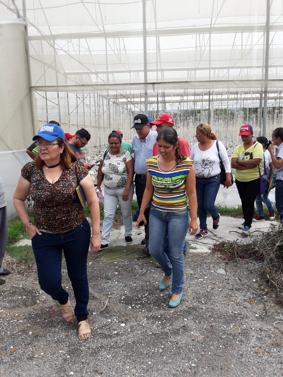 IngOrlandoM's tweet photo. Visitamos EIPAS Valle de Quibor donde verificamos la Produccion de las Casas de Cultivo Protegida y luego una Asamblea con los trabajadores! https://t.co/taQwyXAHxt