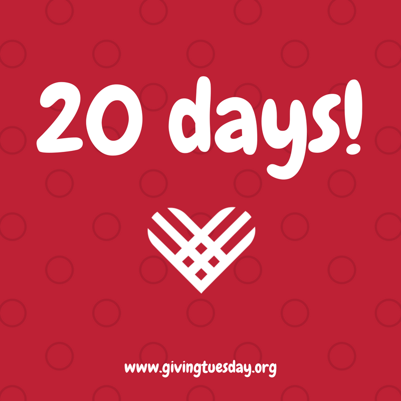 20 days until #GivingTuesday! Share your plans and let us know how you are giving back!