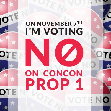 VoteNoNY's tweet photo. Did you vote today? Change your profile picture and remind your friends and family to #VoteNOProp1! https://t.co/NKUDcBCn6M