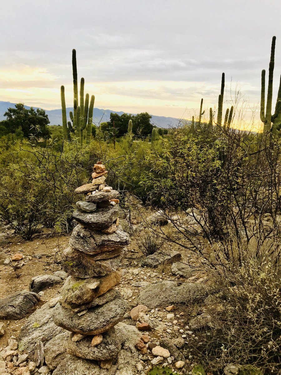 ToddPipes's tweet photo. On a walk this morning. . . Enough relaxing; time to shred. . .after a meditation class, of course. . . #letsgetmetaphysical https://t.co/Se5v66mIiw