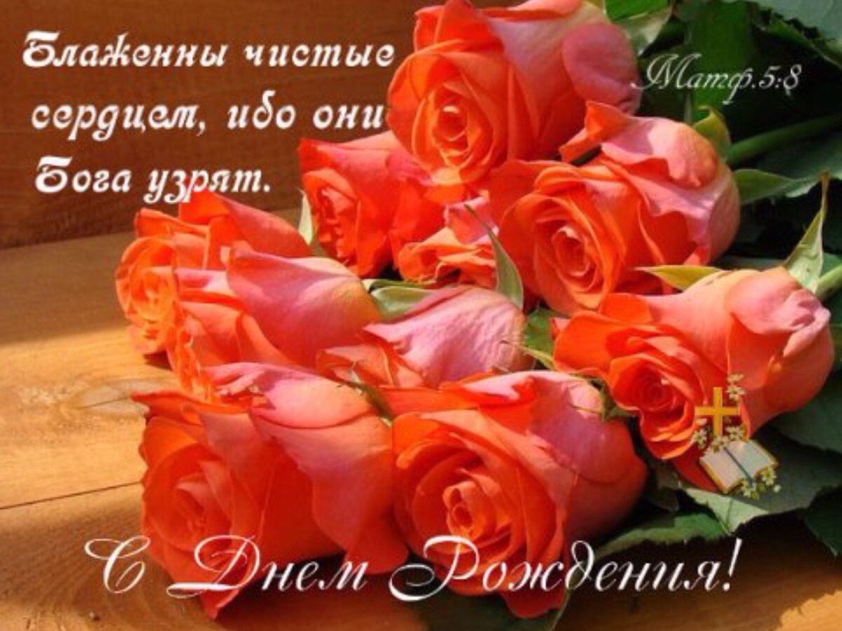 Лена Оганесян (@oganesyan8024) on Twitter photo 