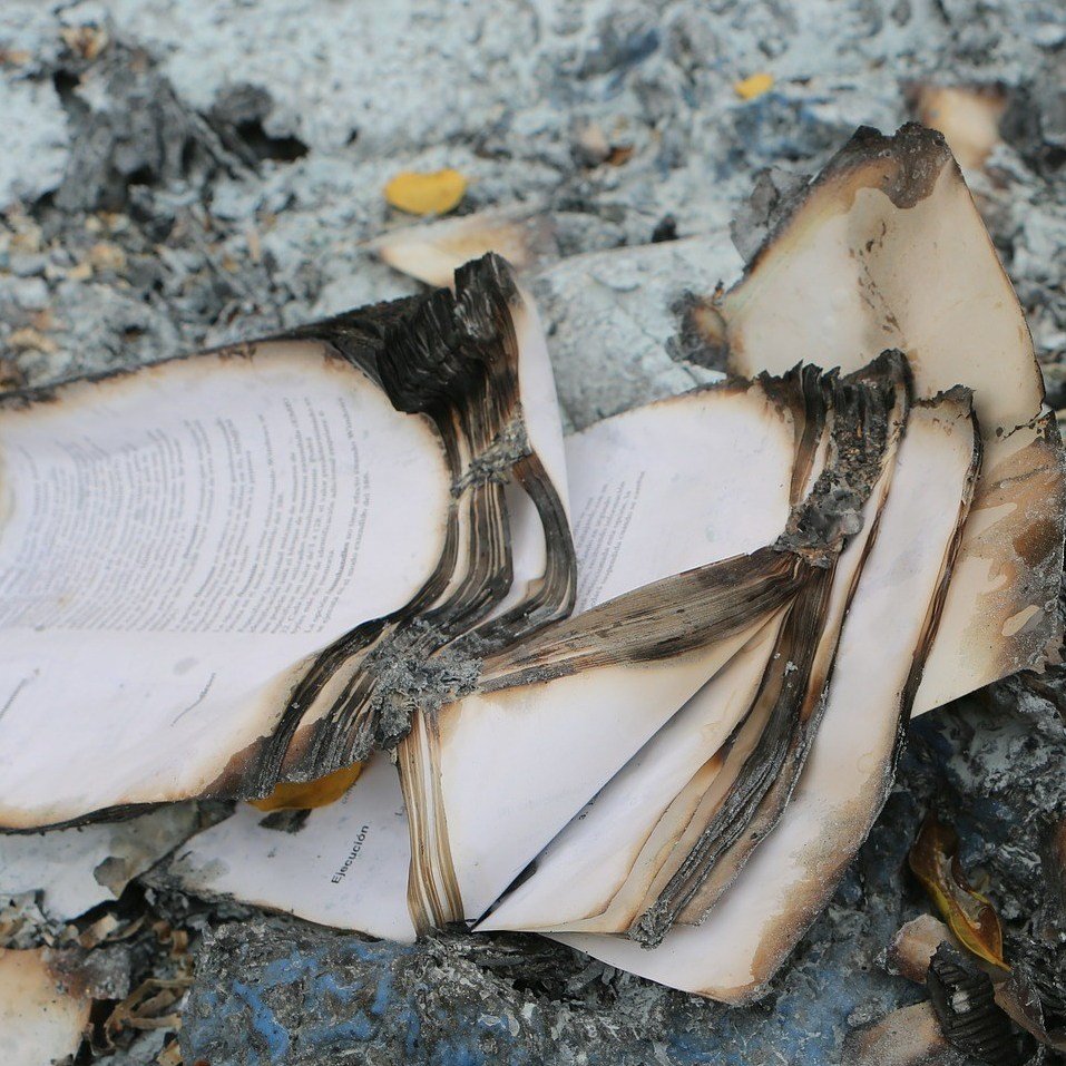 raqueleza's tweet photo. Set Fire to the Old Stories https://t.co/csQQh2NVMv https://t.co/iKsqfiiGlB
